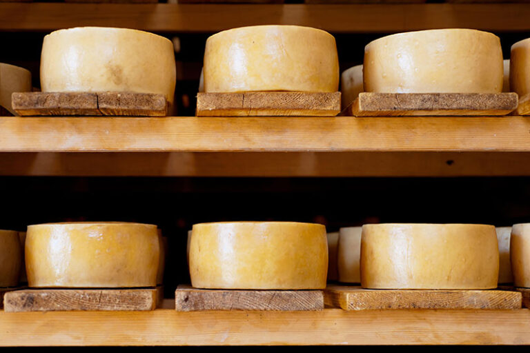 Visit Novalja - Pag cheese